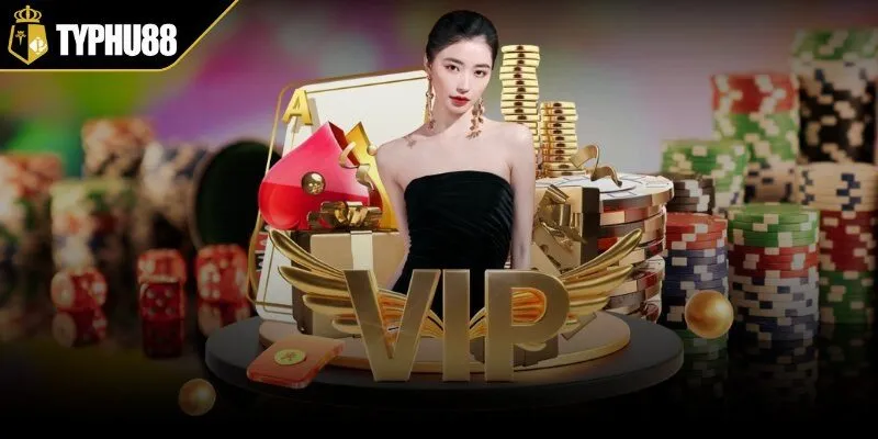 Đôi nét thông tin về chính sách VIP TYPHU88