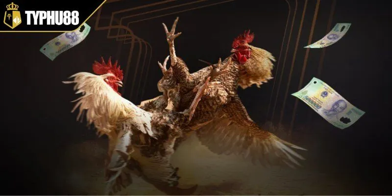Khuyến mãi khủng tại sảnh đá gà